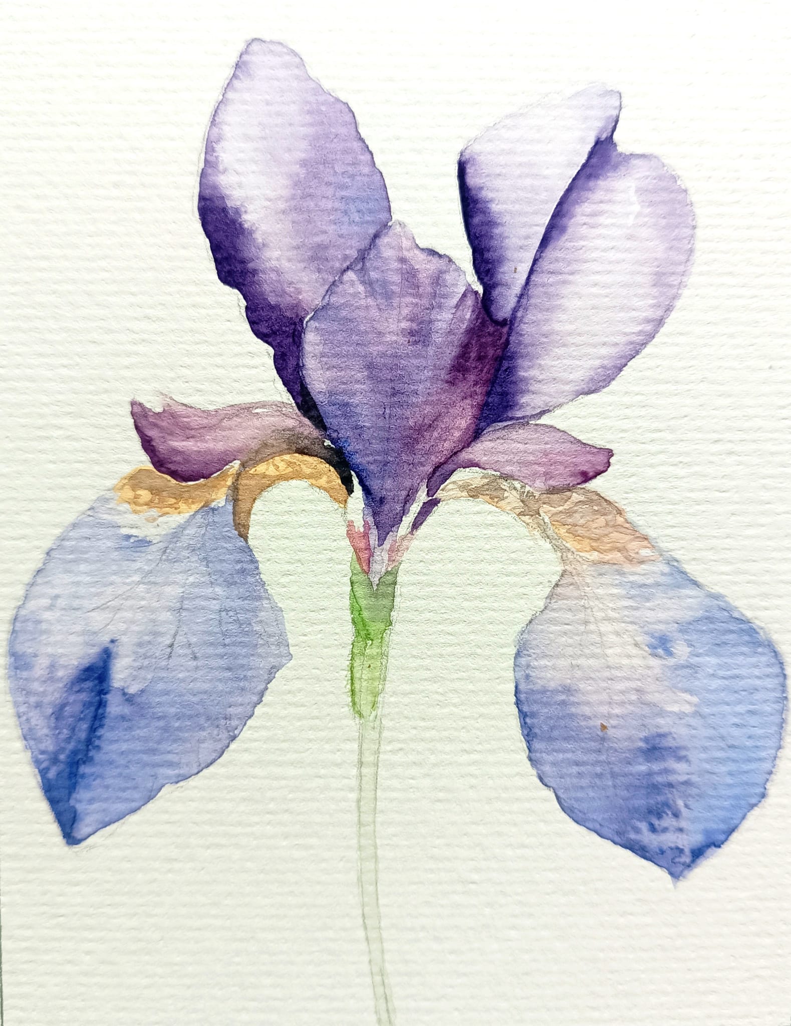Botanical painting